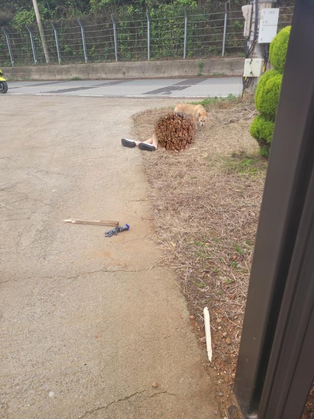 [단독] 전직 경찰, 반려견과 산책 여성 '각목 폭행'...'아직도 안 죽었네' 발언도 - ajunews.com/view/202410080… 
-가해 남성, 전금숙 전 목포시의원 남편
현장을 목격한 주민 B씨는 “연약한 여성에게 나무 사각 몽둥이가 부러질 정도로 정말 무자비한 폭행이 발생해 충격을 받았다”며 “특히 쓰러진