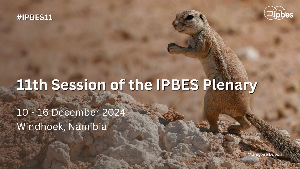 📢 Save the date 📢

#IPBES11 aims to strengthen the science-policy interface for biodiversity and ecosystem services.  

📆10-16 December  
📌Windhoek, Namibia  

📚#Nexus &amp; #TransformativeChange Assessments

 ipbes.net/notification/s…