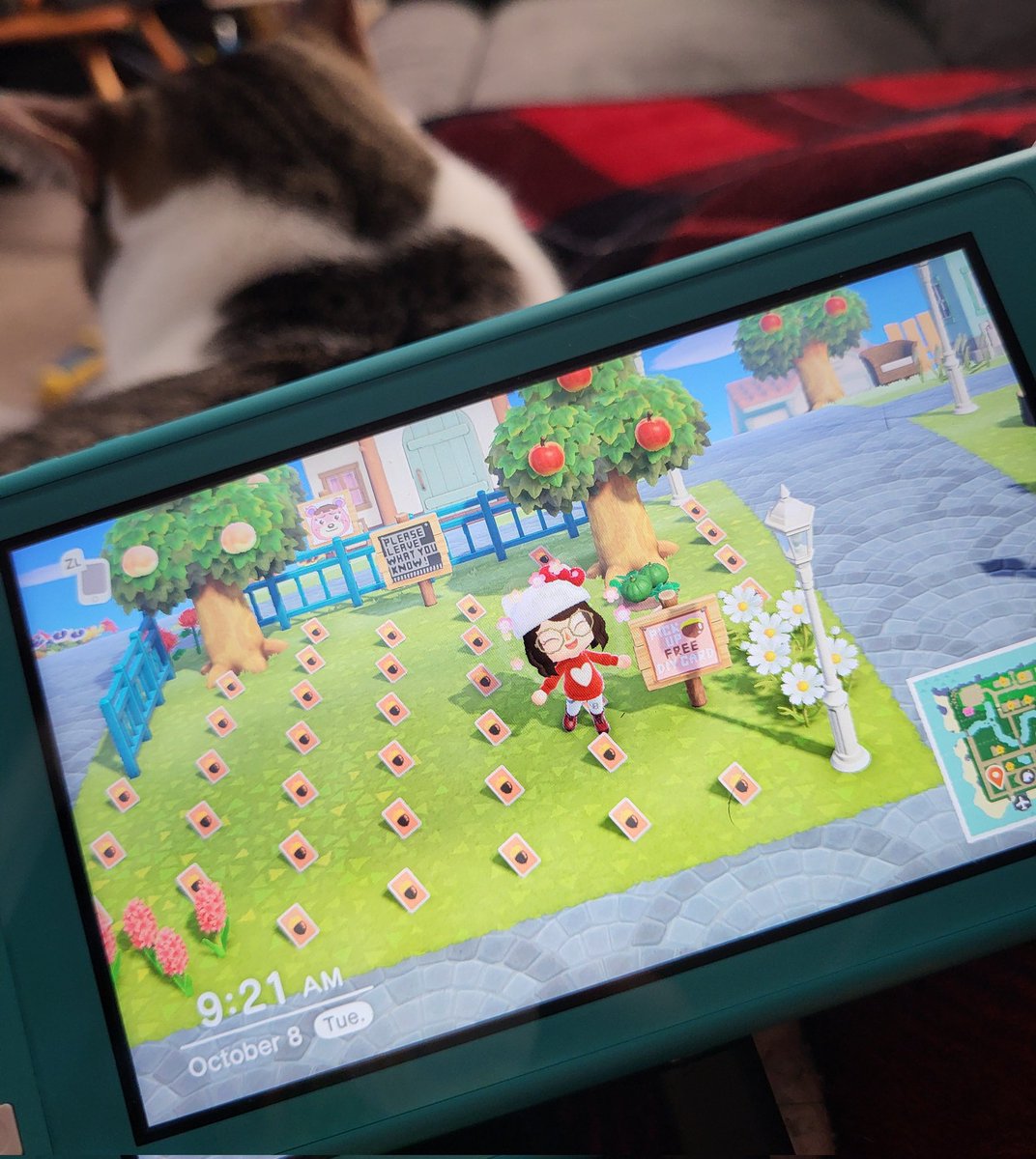 I have a bunch of extra diys on my island if anyone needs🤎 Dodo code: JFVNH #acnh #animalcrossing