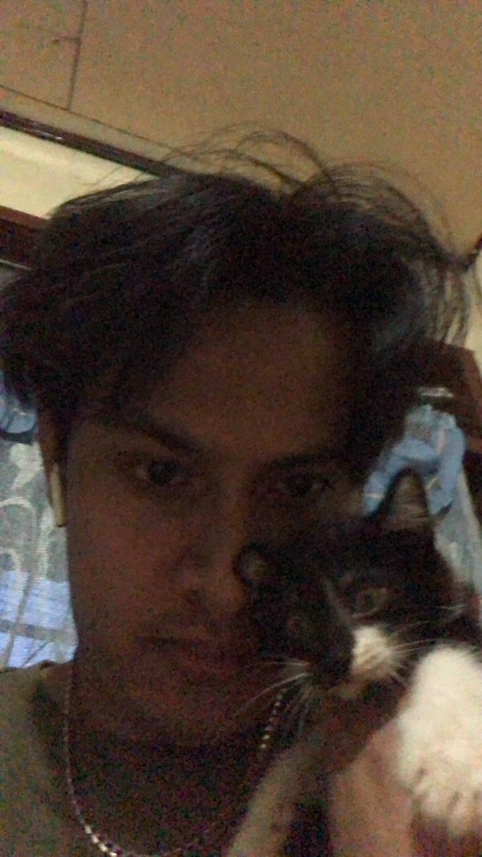 ZeinwhalidMusic's tweet photo. DRIVE CAREFULLY ❗️Hit break when you saw a cat and dogs in a street. Animals lives matters too someone just hit and run my little cat last night 😿 https://t.co/YIt9bkEQfj