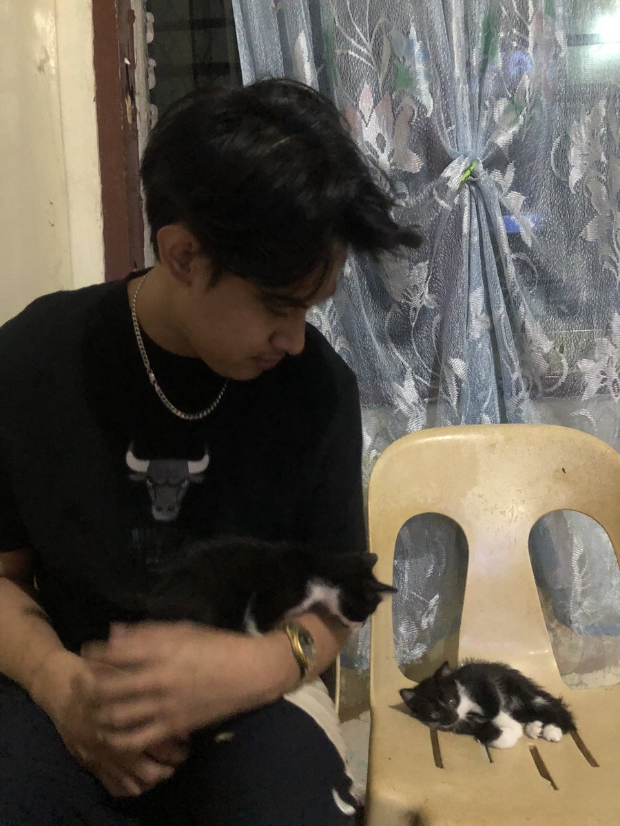 ZeinwhalidMusic's tweet photo. DRIVE CAREFULLY ❗️Hit break when you saw a cat and dogs in a street. Animals lives matters too someone just hit and run my little cat last night 😿 https://t.co/YIt9bkEQfj