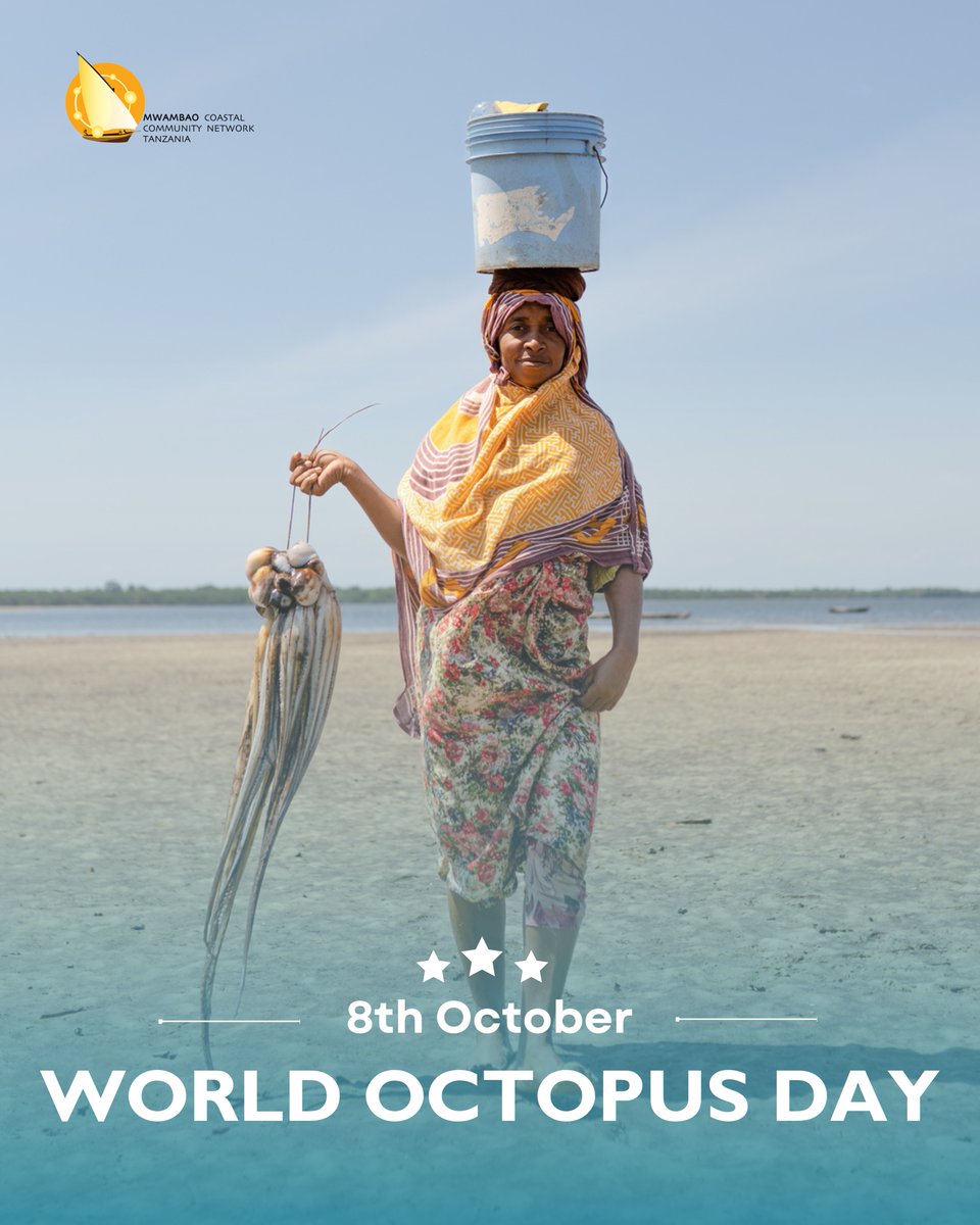 Mwambao has had a role in a sustainable octopus fishery in Tanzania. With such a rapid growth rate doubling weight in 6 weeks,  the Day Octopus represents one of the few species with commercial value that can demonstrate the positive impacts of community-led co-management.