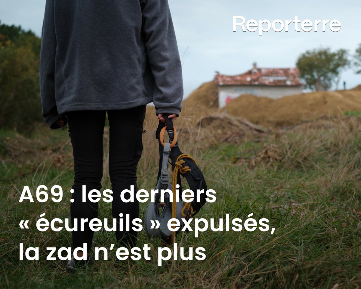 Il n'y a plus d'« écureuils » dans les arbres.

Le 7 octobre, la gendarmerie a expulsé les derniers opposants de la zad du Verger, l’ultime bastion de résistance sur le chantier de l’A69.

Lire l'article ➡️ l.reporterre.net/gzo