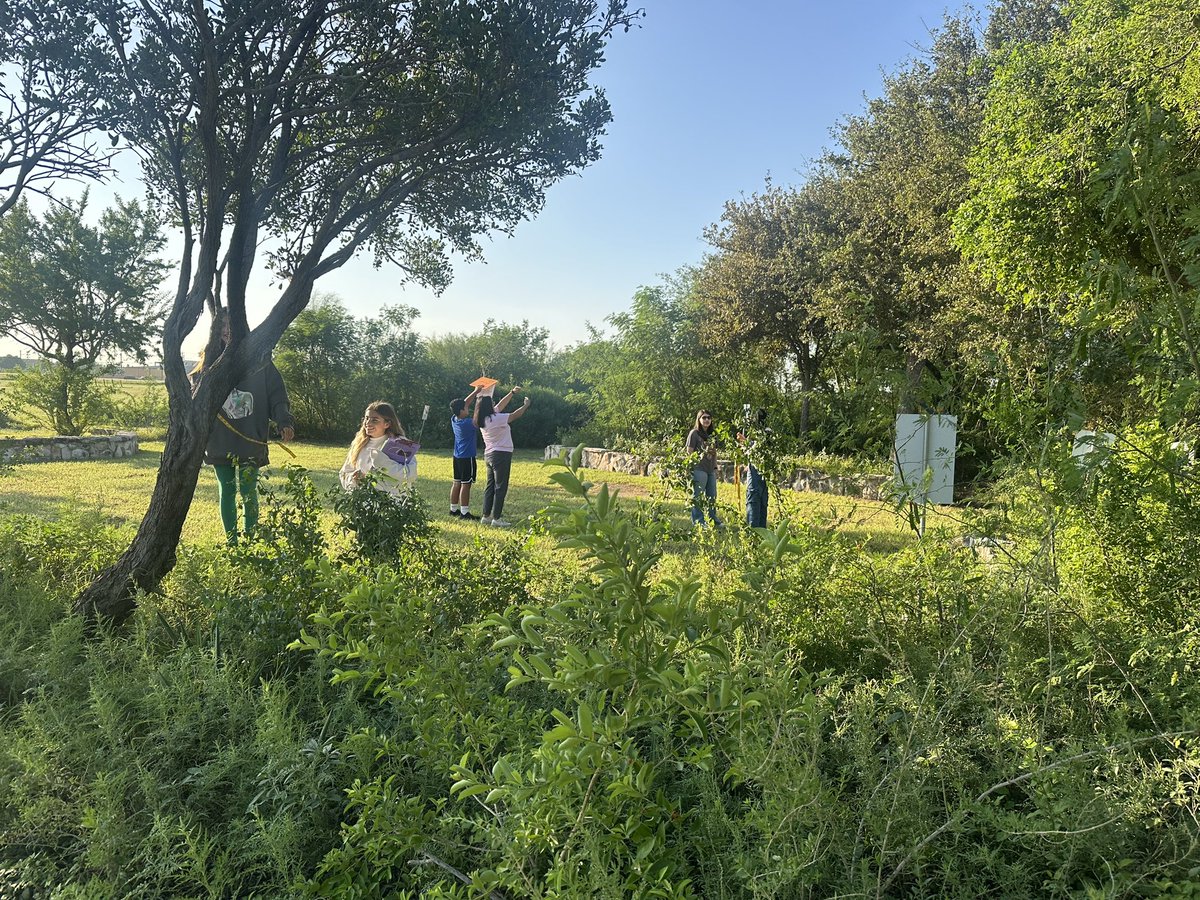 GarzaScience's tweet photo. Students investigating competition among organisms in our Tiny Forest. Students differentiate tree height: solitary vs. trees in a grove. #thinklikeascientist @QuintaMazatlan @cobras047 @mjherrera705 @misd_weRscience https://t.co/D1qn1Dqcjw