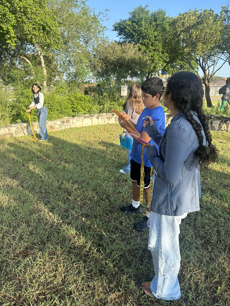 GarzaScience's tweet photo. Students investigating competition among organisms in our Tiny Forest. Students differentiate tree height: solitary vs. trees in a grove. #thinklikeascientist @QuintaMazatlan @cobras047 @mjherrera705 @misd_weRscience https://t.co/D1qn1Dqcjw