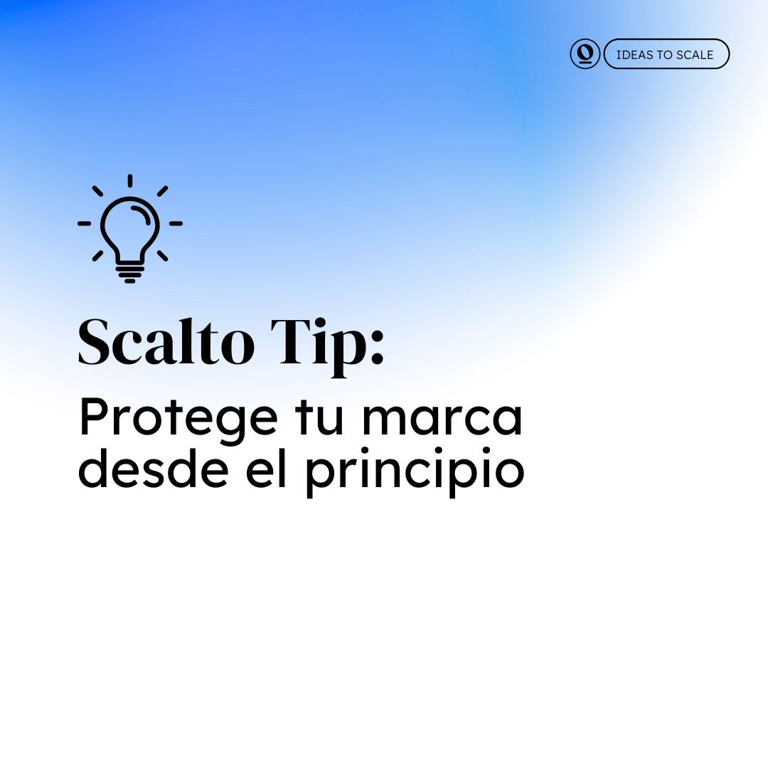 scaltoglobal tweet media