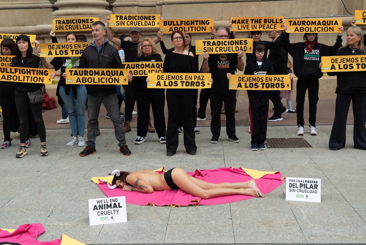 CAS_Int's tweet photo. 👉Protest against bullfighting in Zaragoza, Spain!

Last weekend activists from CAS International and @AnimaNaturalis  protested against bullfighting during the #FiestasDelPilar, in Zaragoza (Spain).

Abolish bullfighting! ✊️

✍️https://t.co/44KYd1z0gd https://t.co/oRUStRDbsH