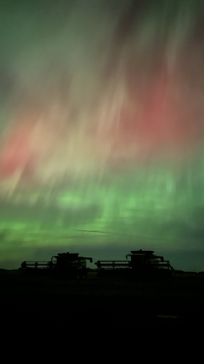 Frank DaFarmer tweet media