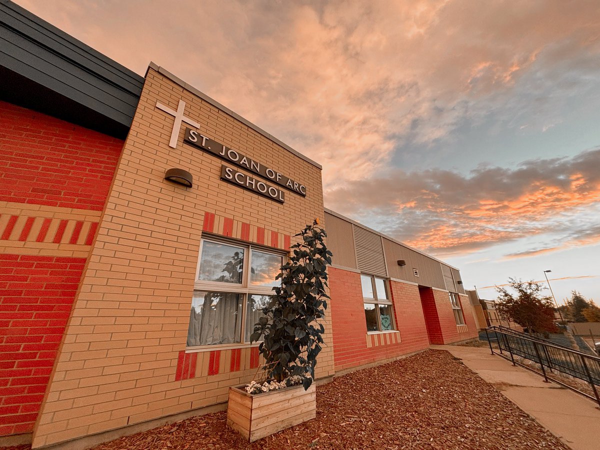 Our sunflower has finally bloomed!