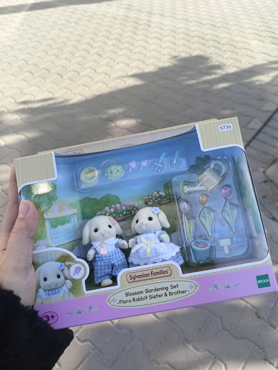 🥀Daphnis Nerii 🥀 tweet media