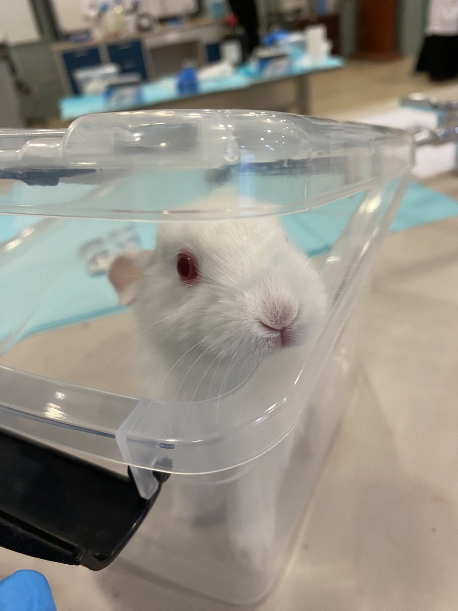 شجُون. (@1vxl1) on Twitter photo 