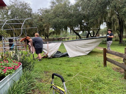 Heartland Horses Equine Activities & Learning Inc. tweet media