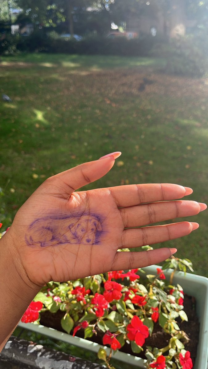 ratsofatso's tweet photo. had no paper :/ https://t.co/XONsLVpQsZ