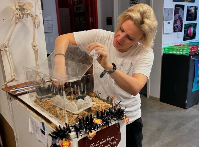 Wishing Boot / HAPPY KATE YEAR 🎉 tweet media