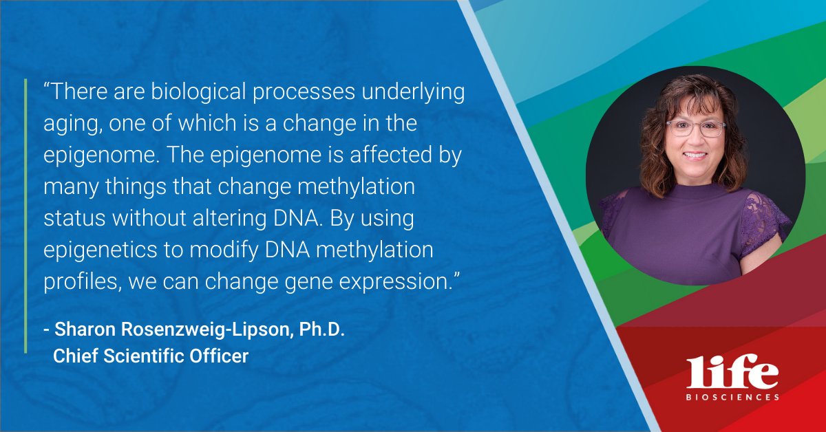 lifebiosciences's tweet image. @GENbio’s article on reversing aging’s clock highlights how our #EpigeneticReprogramming platform potentially modifies gene expression. Our CSO, Dr. Sharon Rosenzweig-Lipson, shares insights on our platform’s potential for #CellularRejuvenation. For more: bit.ly/47VJZCO