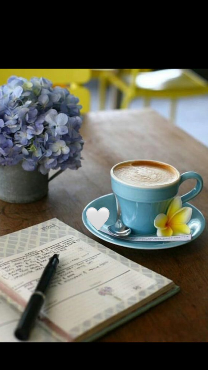 - من يمتلك صديق عظيم لا تهزمه الحياة

#مساء_الخير_والرضا_والطمأنينة