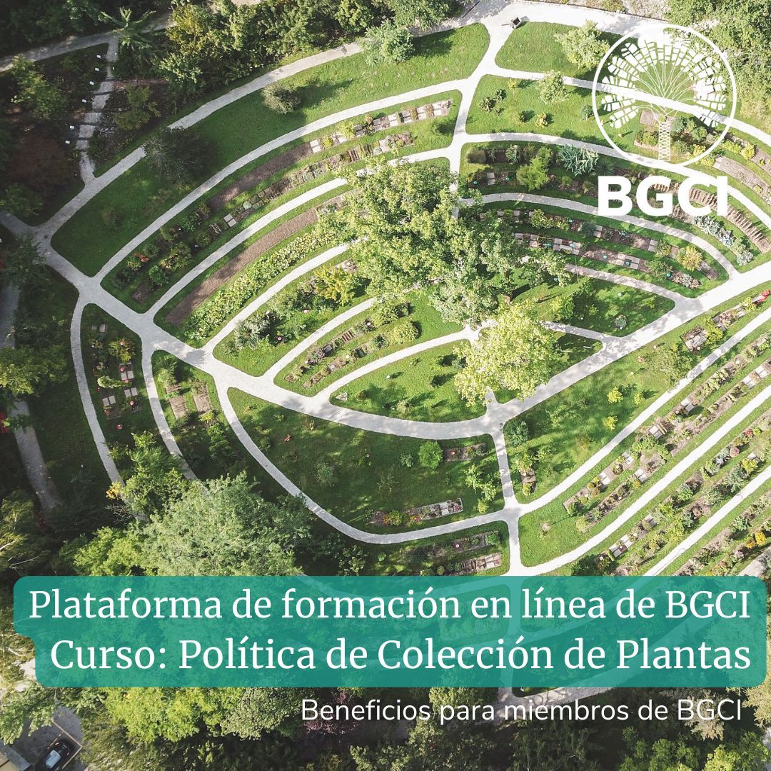 bgci's tweet photo. Did you know that we have a number of Moodle online courses for members available in Spanish?
Have you tried our online learning platform yet?
https://t.co/Hjif6ZBK7I
#ConservationTraining #BGCIMemberBenefits #BotanicGardenTraining https://t.co/OMQCqP21W1