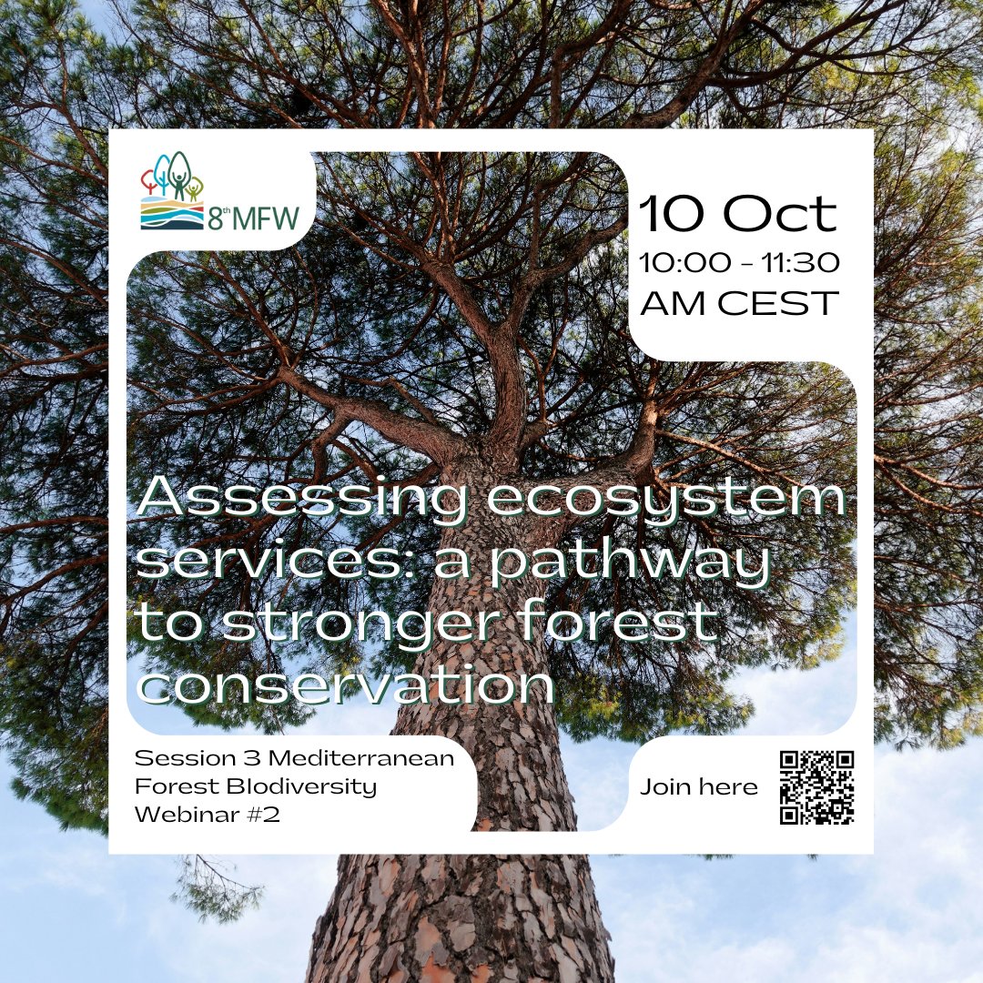 IUCN_Med's tweet photo. Want to know how to protect Mediterranean forests? 

The second preparatory webinar for Session 3 of the 8th #MedForestWeek is happening! 📅 Oct 10, 10 AM CEST. 

Learn about the power of ecosystem services. 

Save the date in your calendar! https://t.co/H2mrEhdSKM

@gencat https://t.co/ZqHZ97fMtB