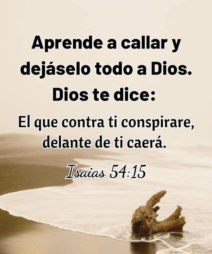 Magdalena tweet media