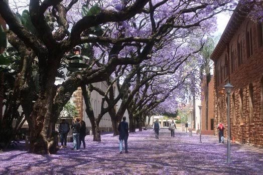 POV: stress season at Tuks