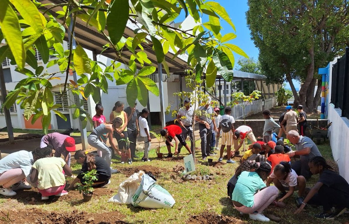 Bois joli coeur, bois d'arnette ou encore bois de chandelle, les endémiques prennent racine à Montgaillard grâce à nos éco-délegués et au <a href="/departement974/">Département de La Réunion</a>. Objectif 1 million d'arbres!
<a href="/AcLaReunion/">Académie de La Réunion</a>  <a href="/EDD_AcReunion/">EDD_Ac-Réunion</a>