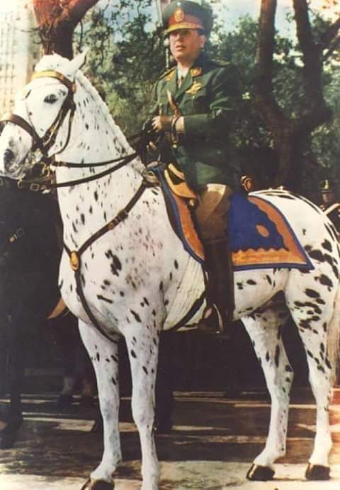 MartinPino tweet media