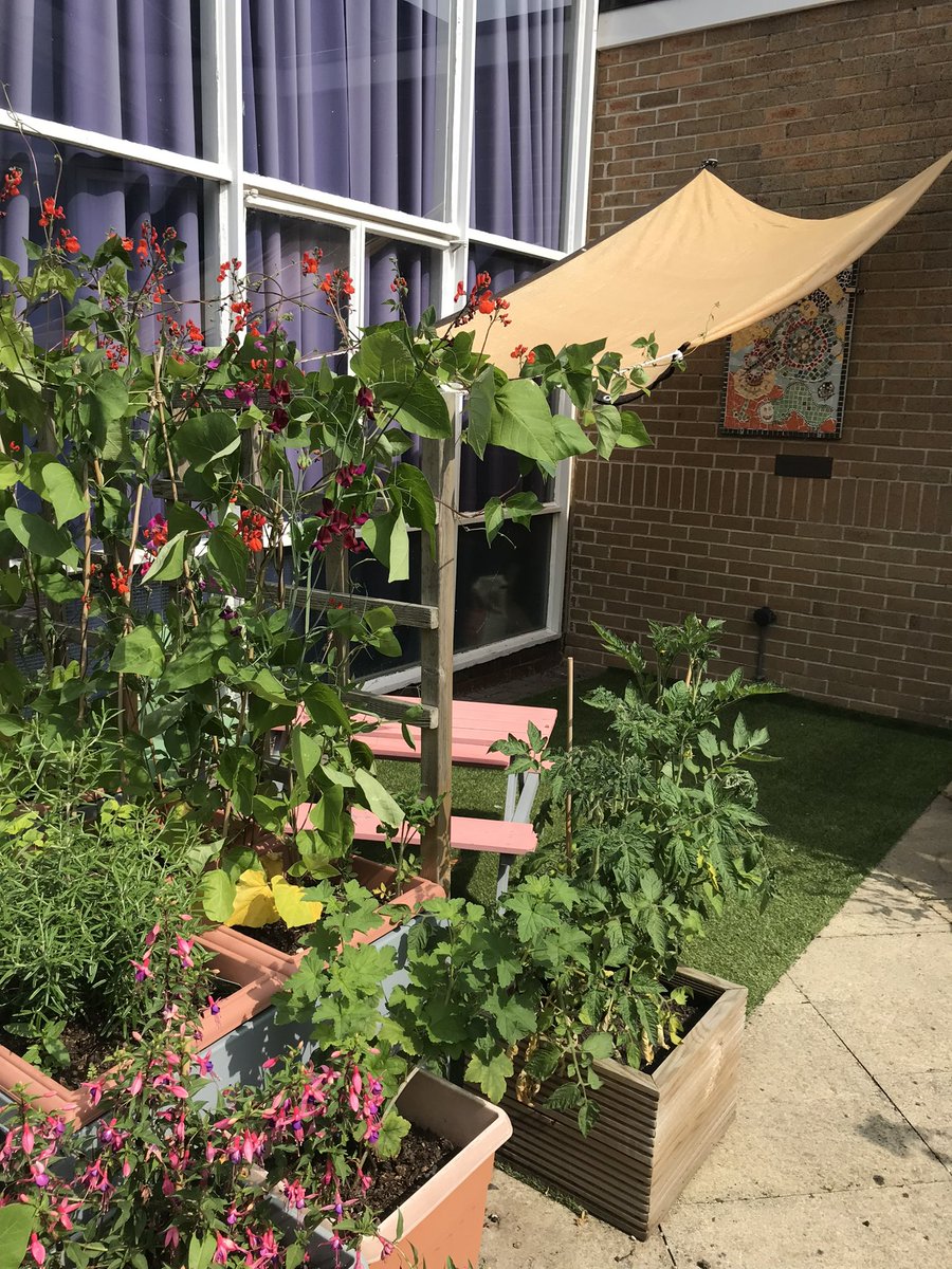 St.Hilda's Primary tweet media