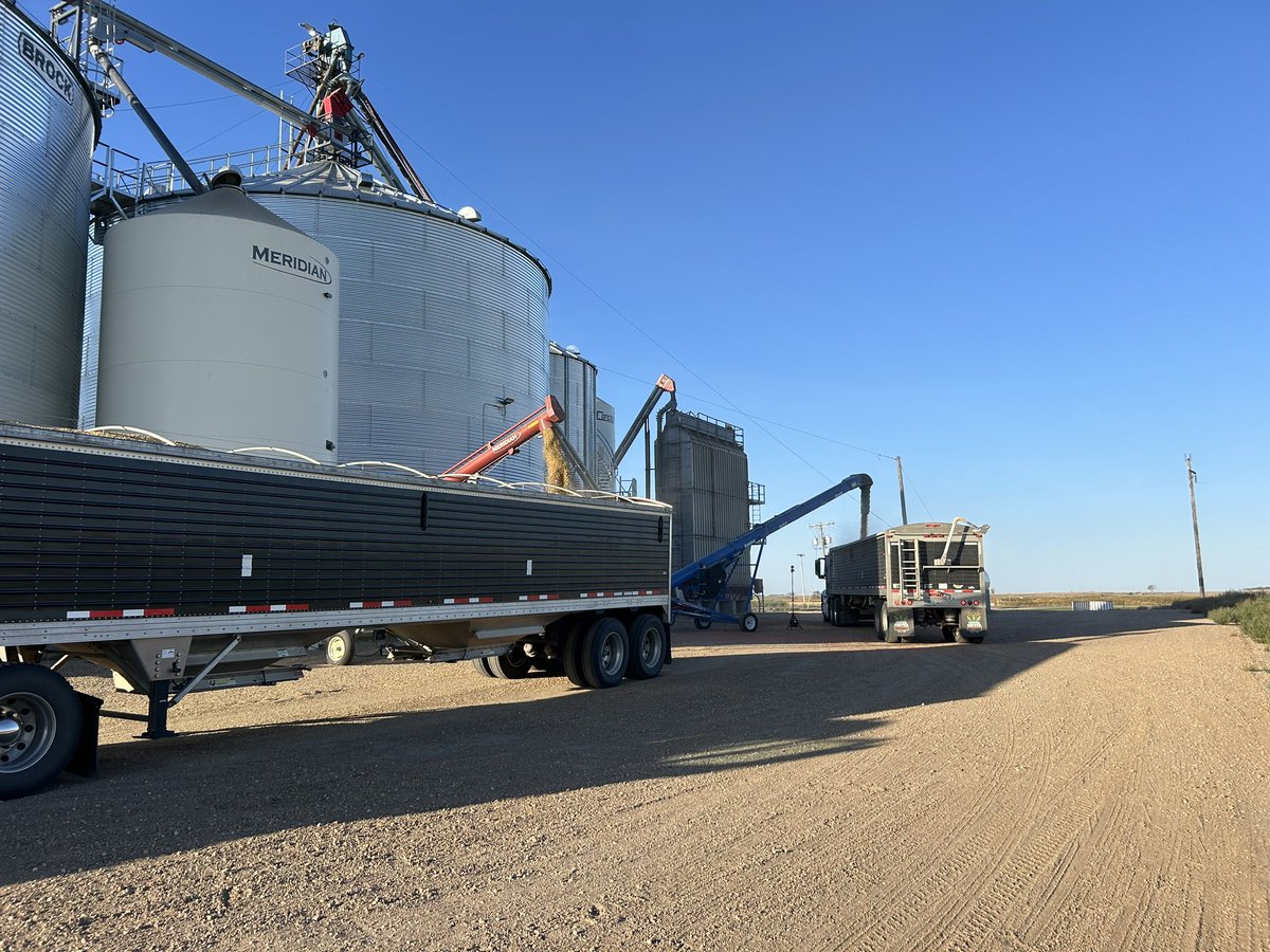 AustinSundeen's tweet photo. Combine and Tiny are ready but the bin site needs one more day before #corn24 https://t.co/q1gX1oP8cn