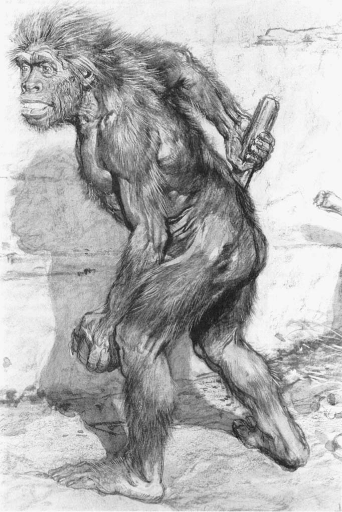 Bijbelschepping's tweet photo. Vroegere reconstructie van neanderthalers vs. hedendaagse reconstructie.
Steeds minder aapachtig, steeds menselijker.
#schepping #evolutie #bijbel https://t.co/d0NawCpiKU