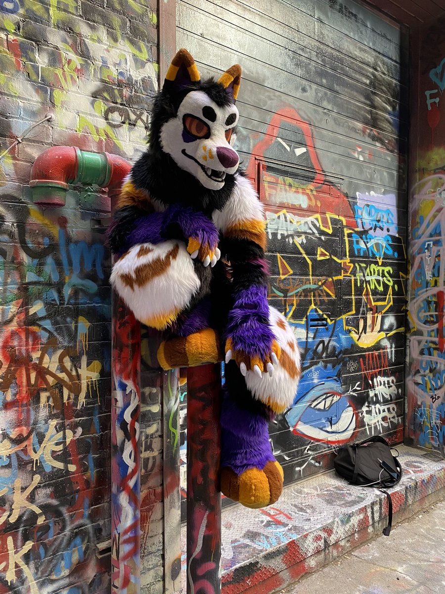 Hallow (@hallowjackal) on Twitter photo 