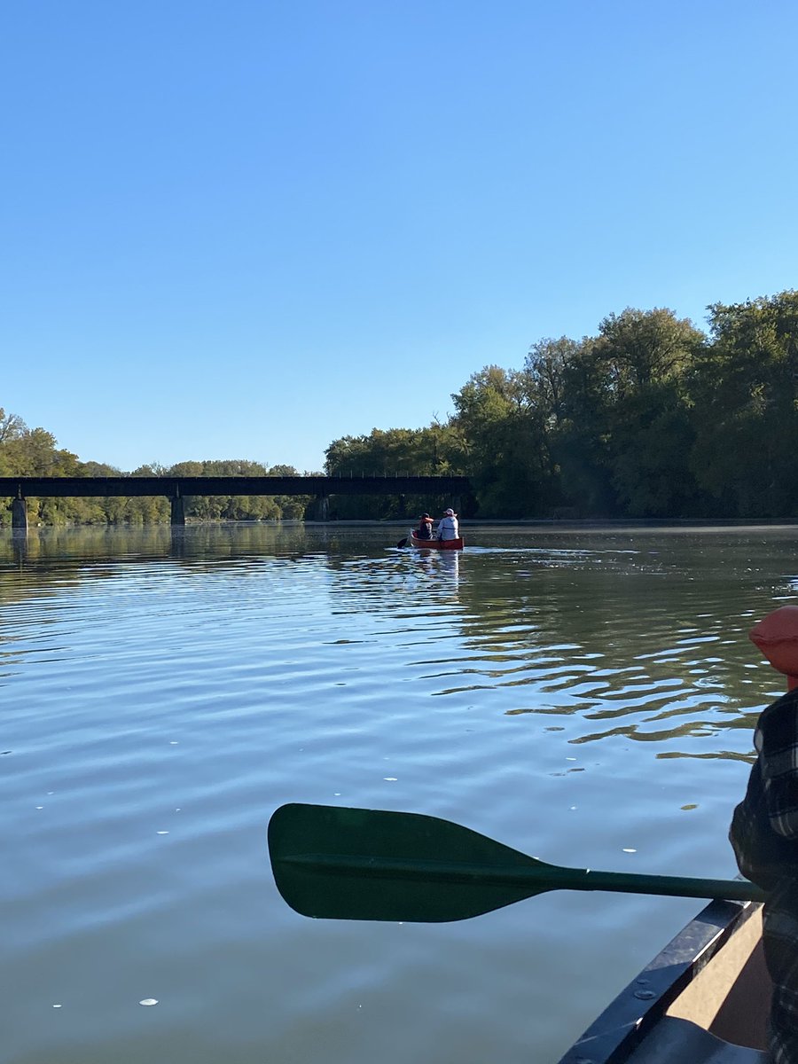 Beth Testa tweet media