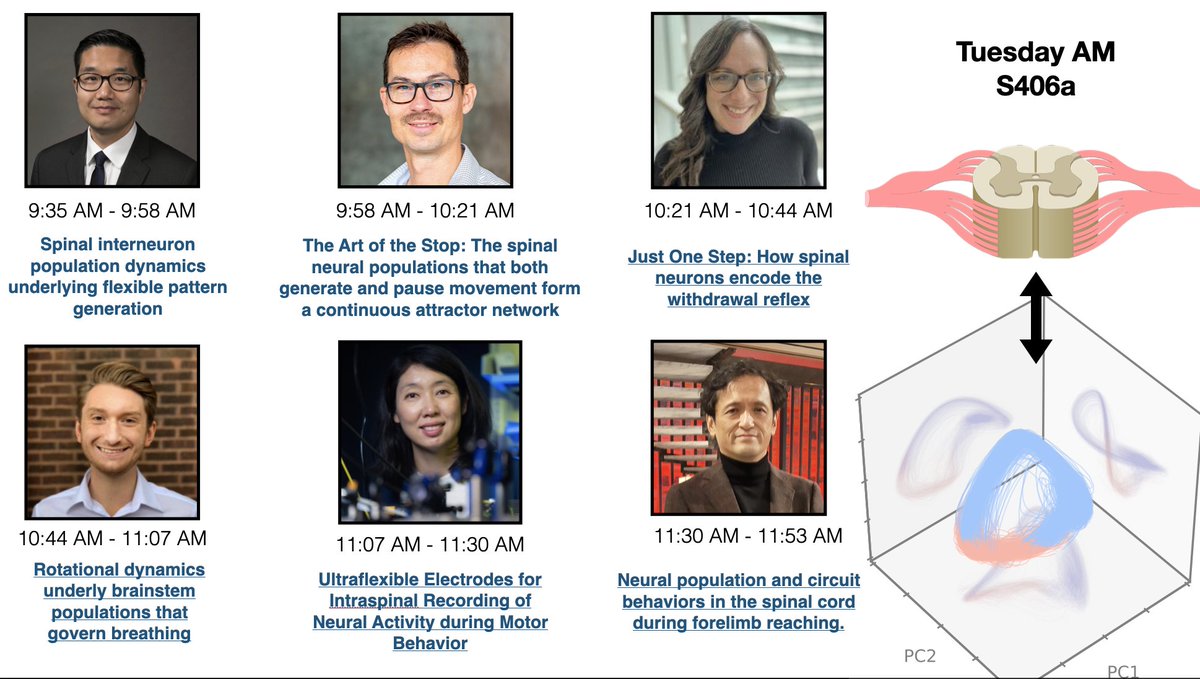 chethan's tweet photo. Amazing. One of the grandfathers of dynamics in neural systems wins the nobel. And also today, @RuneWBerg and I co-chair the first ever minisymposium on population dynamics in the spinal cord!!! 

An amazing lineup. Tuesday AM, S406a! #SfN24 https://t.co/BynJcR06xY