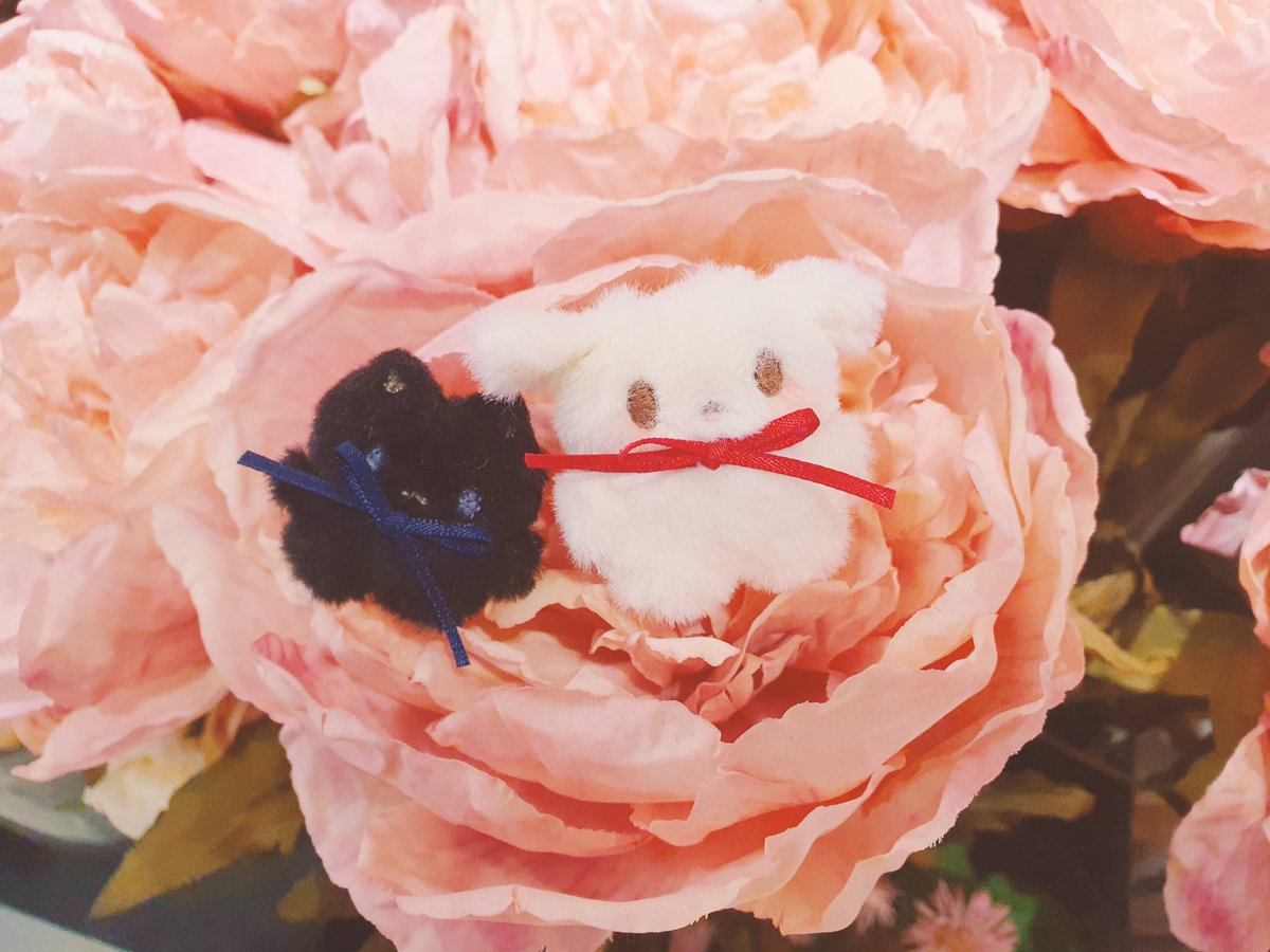 븨틱농구쇼비맙의 미유⊙▽⊙💗 tweet media