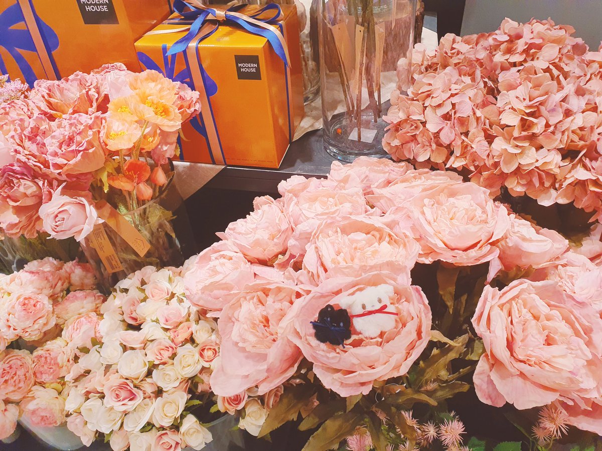 븨틱농구쇼비맙의 미유⊙▽⊙💗 tweet media