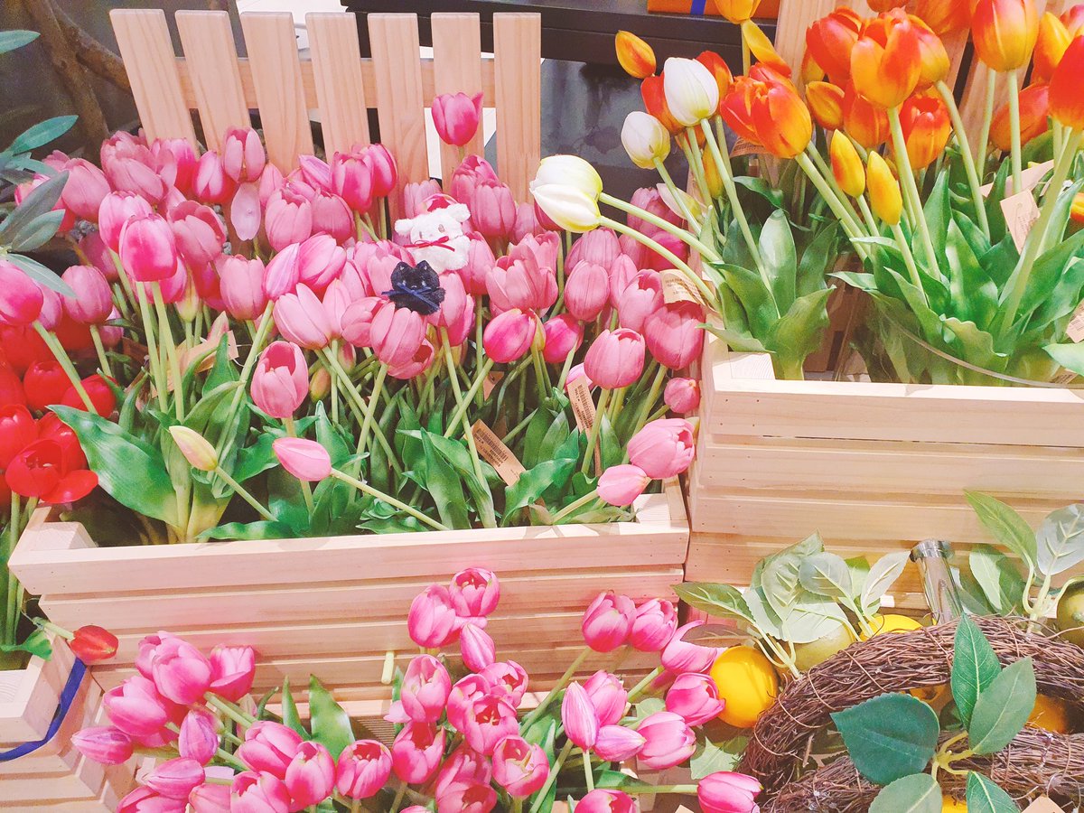 븨틱농구쇼비맙의 미유⊙▽⊙💗 tweet media