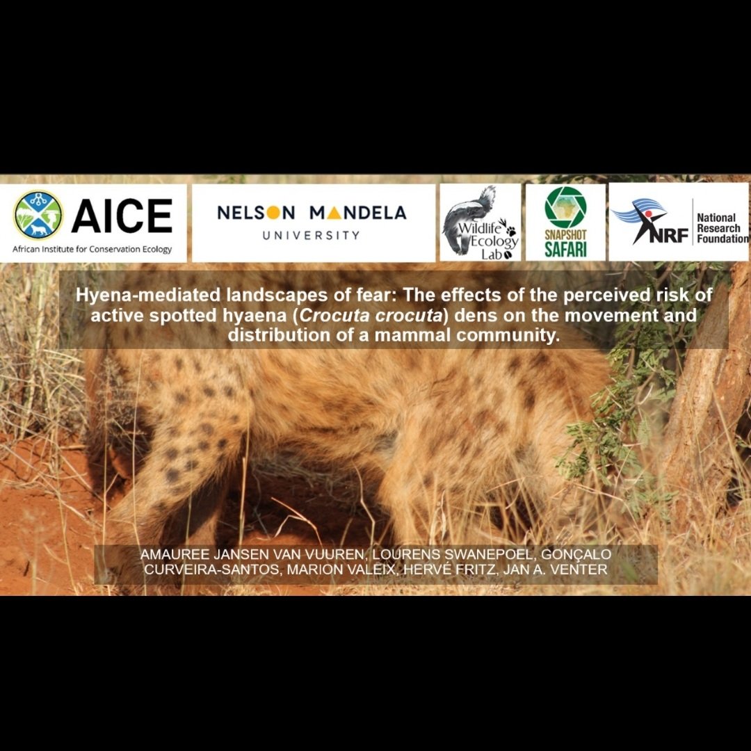 ajansenvv's tweet photo. Today I was fortunate enough to present some findings from my PhD project at #SAWMA2024 in Windhoek, Namibia! Looking forward to the rest of the conference and the interesting discussions to come. https://t.co/sq00IEDy47