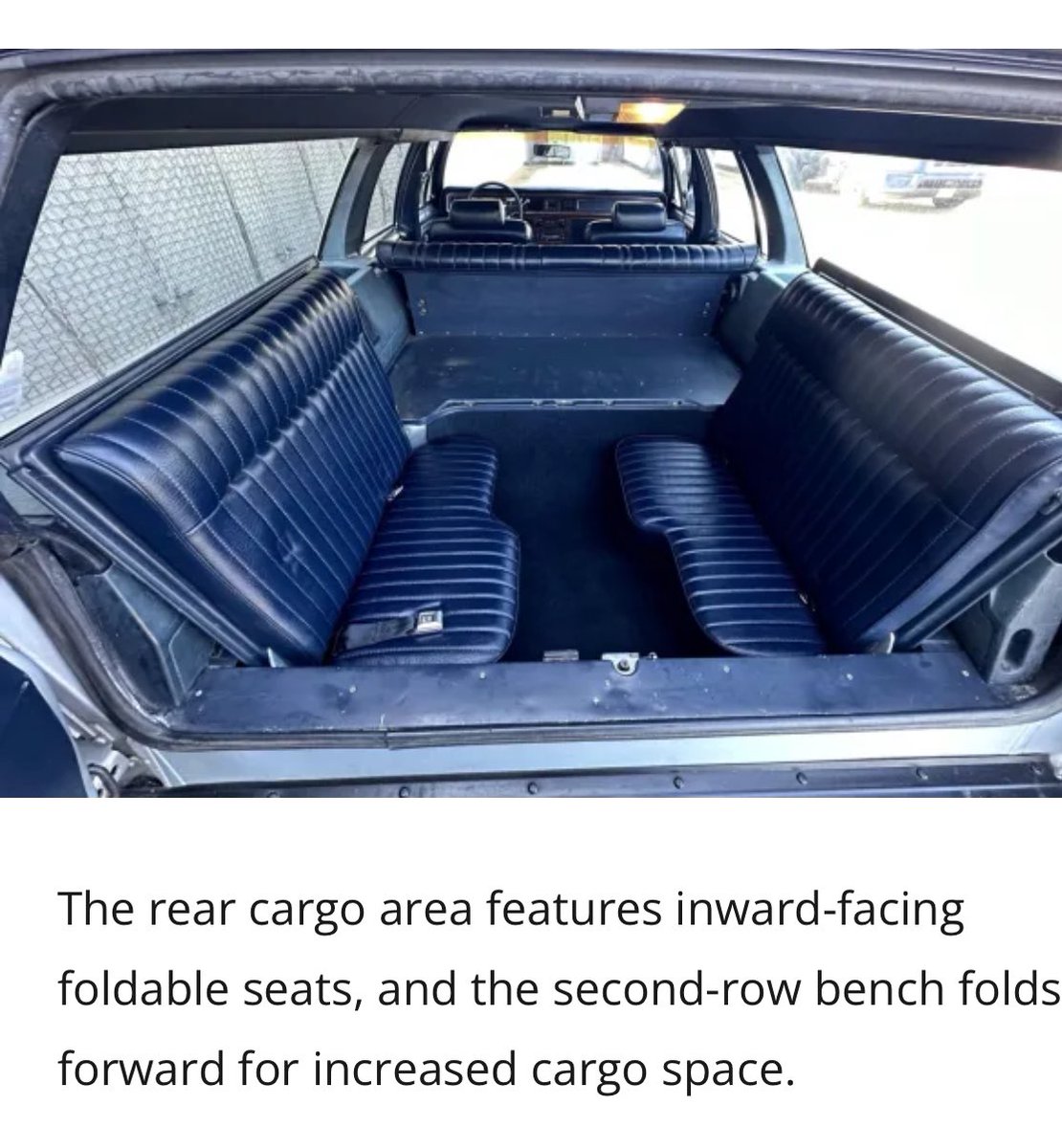 cynthflo tweet media