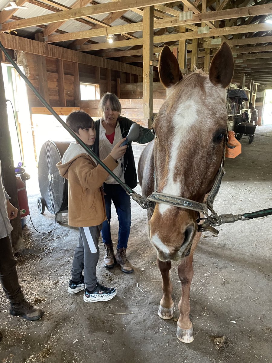 Kristin Munrett tweet media