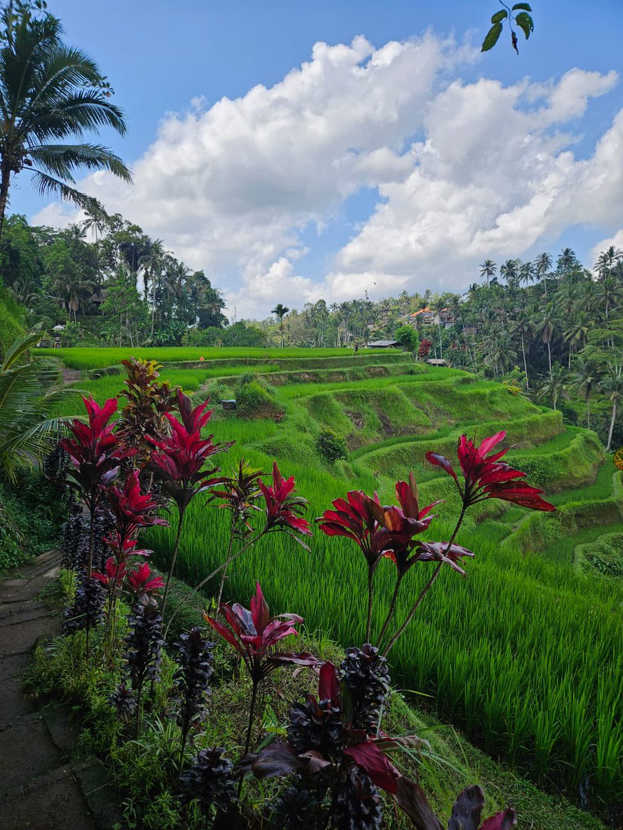 GuiLegrain's tweet photo. @Capetlevrai Après Bali c’est pas que des hôtels, c’est aussi de beau paysage et une culture de fou avec des temple incroyable 
Par contre, y’a un envers du décors de fou comme pas mal de payment de développement https://t.co/bFGJsUVAe6