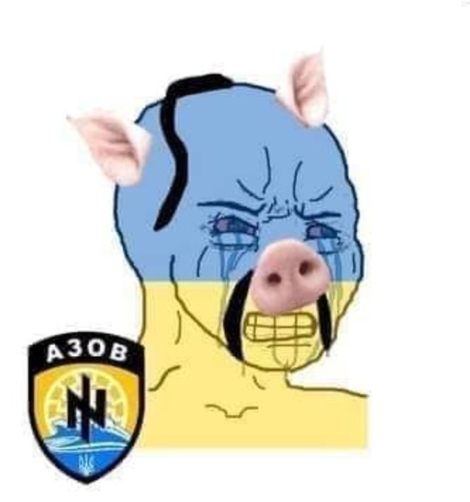 PAMPHLETS21's tweet photo. @BLawson92 @JamesPorrazzo You little Ukrainian pig 🐽 https://t.co/OkgBjz2ErM
