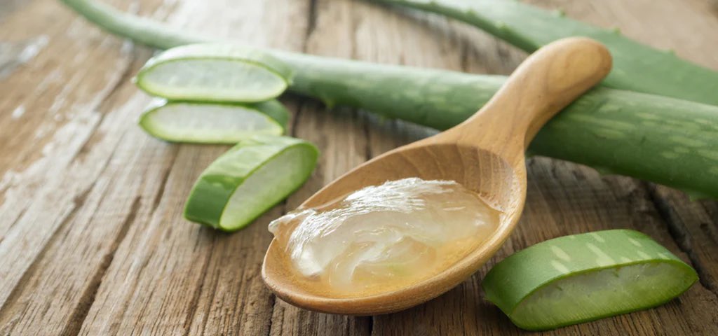 SAFO NYAME HERBAL THERAPEUTICS tweet media