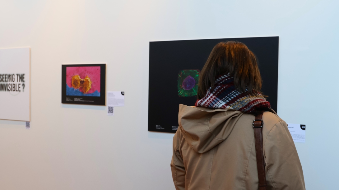 🎨🔬 Vernissage de l'expo "The Invisible Unveiled" : quand la science devient de l'art ! Plus de 30 œuvres des laboratoires de recherche de l'alliance EUNICE à découvrir.

📍 Bibliothèque Universitaire, Campus Mont Houy
📅 Jusqu'au 25 octobre

+ d'infos : uphf.fr/ouverture-lexp…