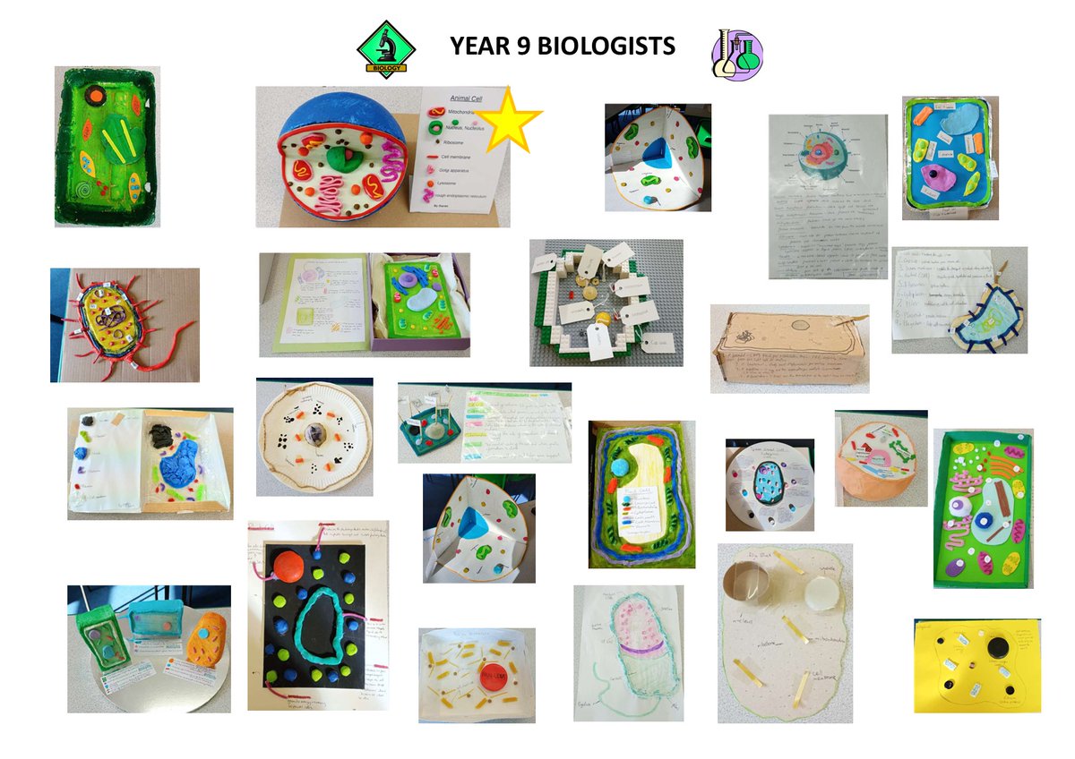 Y9 students created 3D models of prokaryotic (plant)/ eukaryotic (animal) cells as a reusable revision tool

Some  included advanced organelles seen under an electron microscope.

Using recycled materials- Lego, clay, pasta &amp; jelly 👩‍🔬👨‍🔬

#worcestershirehour