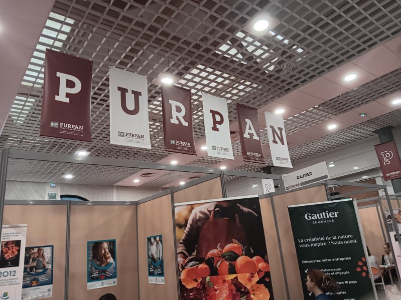 Cerfrance_Oc's tweet image. La semaine dernière, le @Cerfrance_Oc  était présent au Forum des entreprises de Ecole d'Ingénieurs de #PURPAN avec ERIC DOUMEIZEL et Agathe HAGNERE.

L'occasion de présenter aux étudiants le Cerfrance, les métiers ainsi que les offres d'emploi en cours.