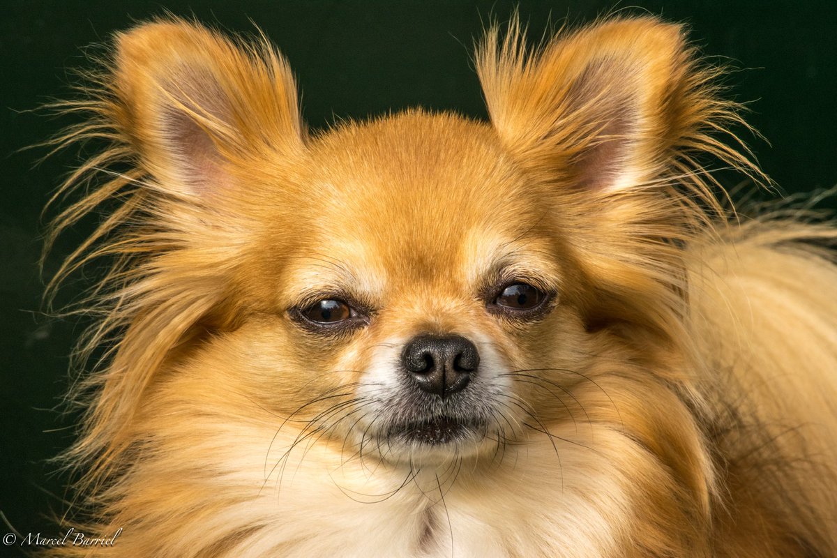 Ⓜ️arcel ☺️ tweet media