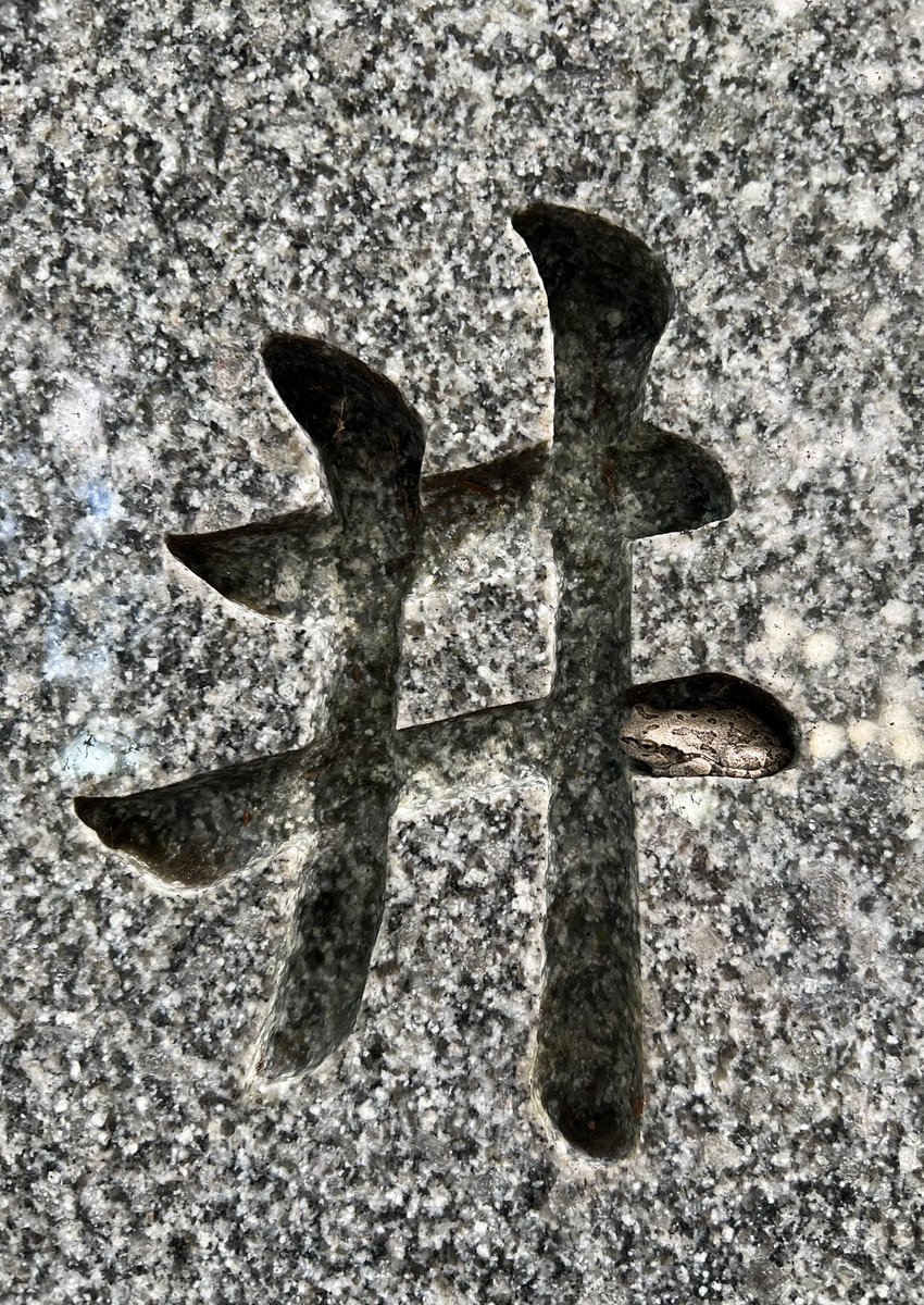 高橋堅／Ken Takahashi (@ken691101) on Twitter photo 