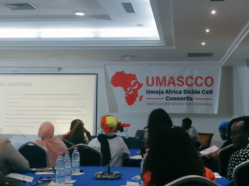 kettychunga's tweet photo. @UMASCCO_Africa @novonordisk
Honored to be a part of this historical meeting. 
Here to bring help closer to my warrior community more determined to fight the cause and NOT individuals.
@SCDZambia https://t.co/u0Dr7lfZ7S
