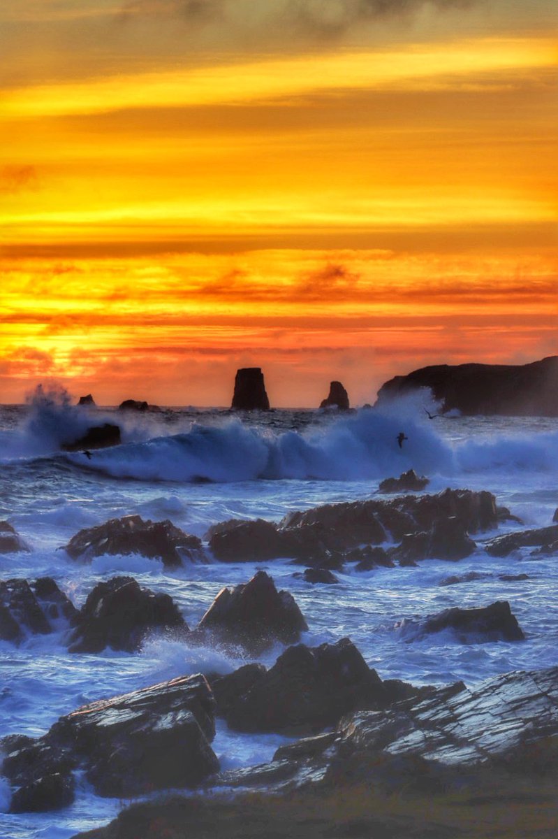 Good morning from beautiful Bonavista!
It’s a great start to Tuesday!

#ShareYourWeather