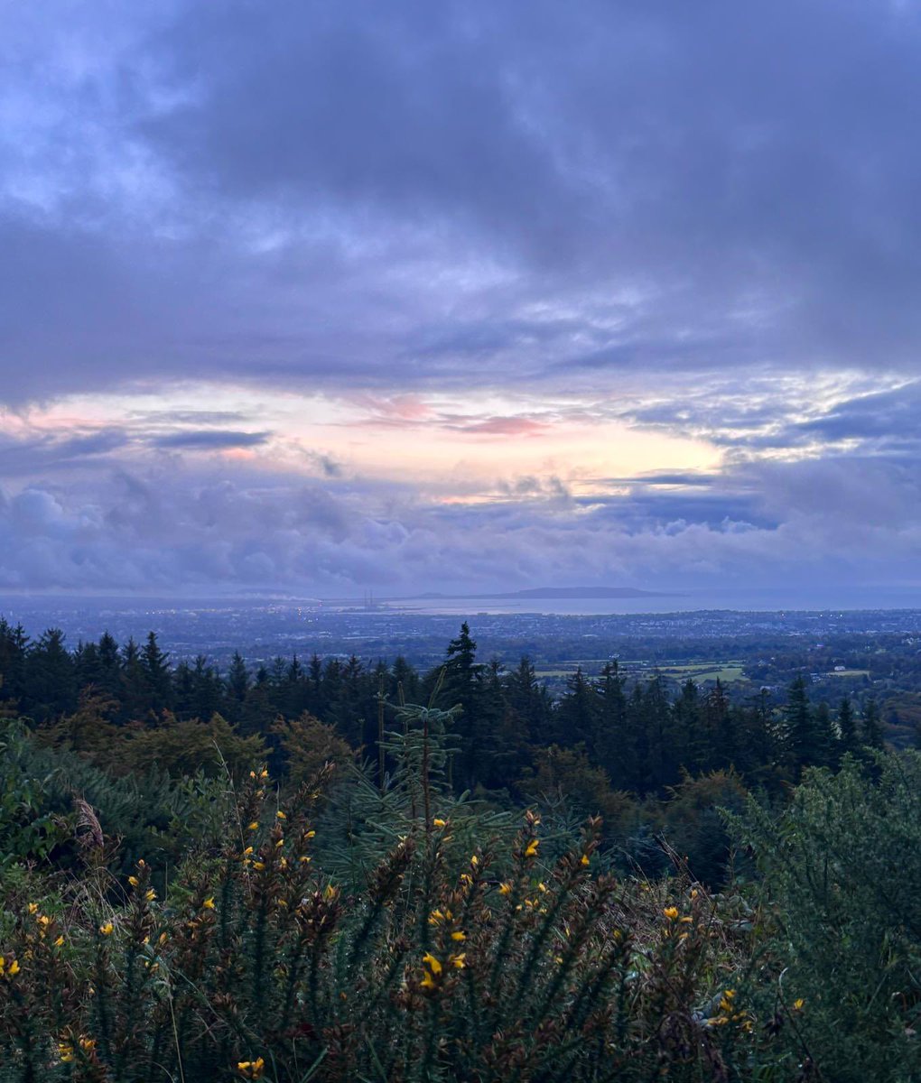 Tuesday morning views #GoodMorning