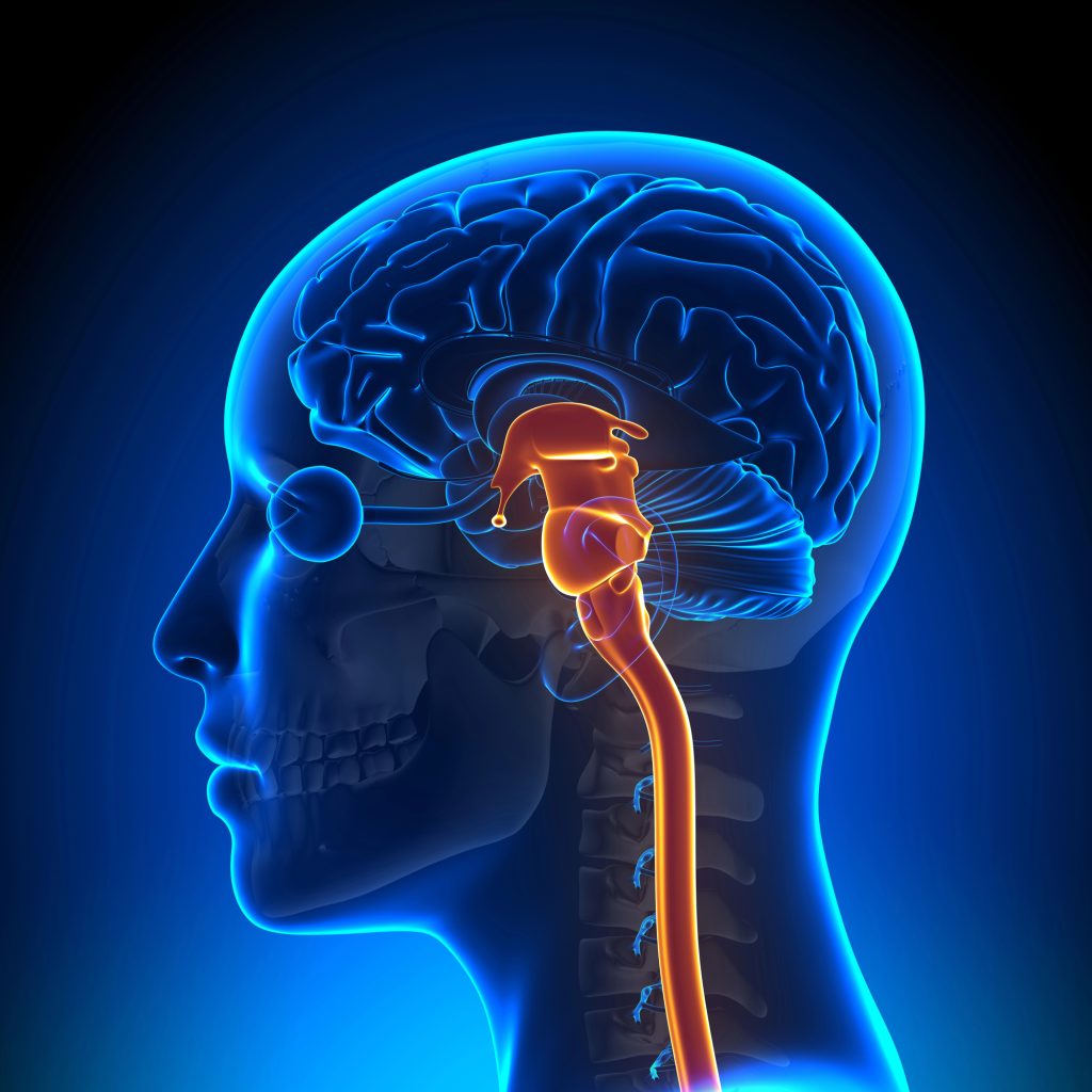 BenefitNews24's tweet photo. Damage to the #brainstem reason for long-lasting #physical and #psychiatric effects of severe #COVID19 infection, says #study. Researchers found that multiple regions of the ‘control centre’ showed #abnormalities consistent with a #neuroinflammatory response.
@Brain1878 https://t.co/2CK0sWS7eG
